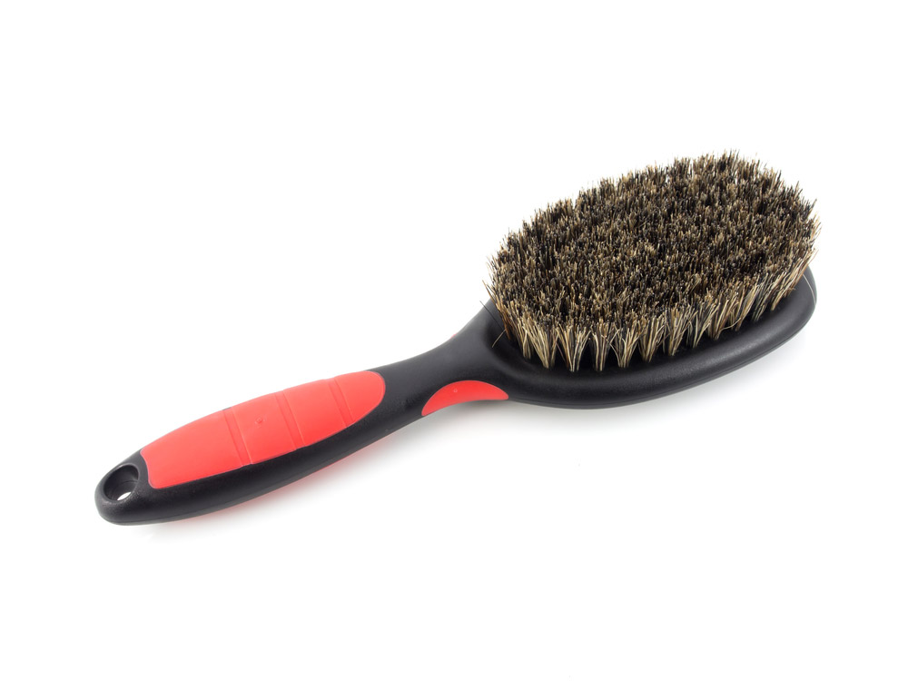 bristle brush for dog