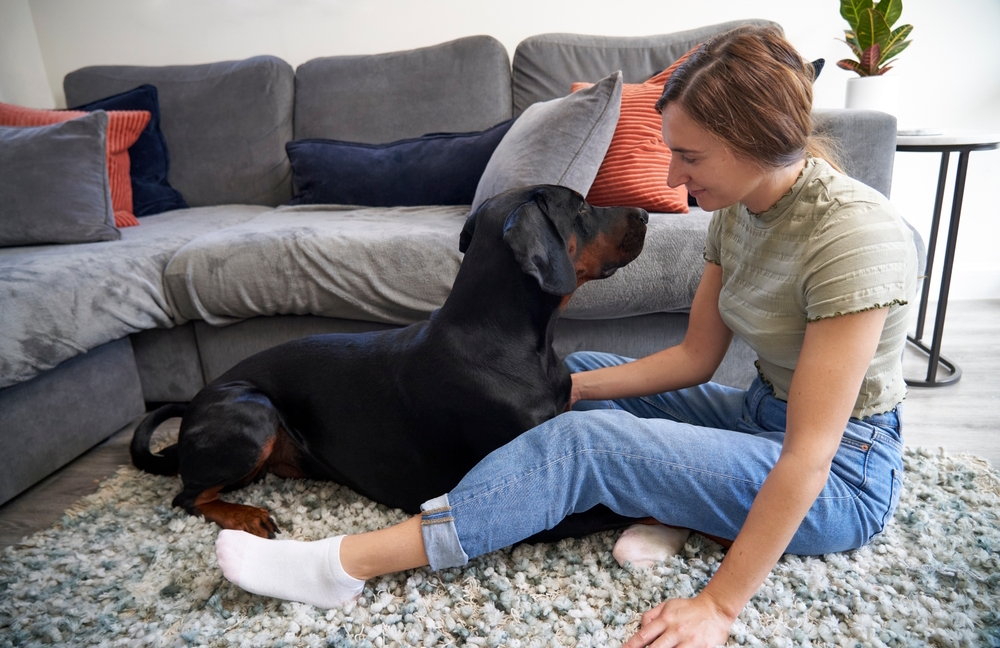 International Dogsitting 101: How to Get Started & Helpful Tips
