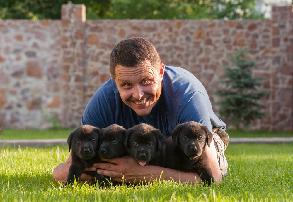 How to Find an Ethical Dog Breeder: Vet-Approved Verification Guide