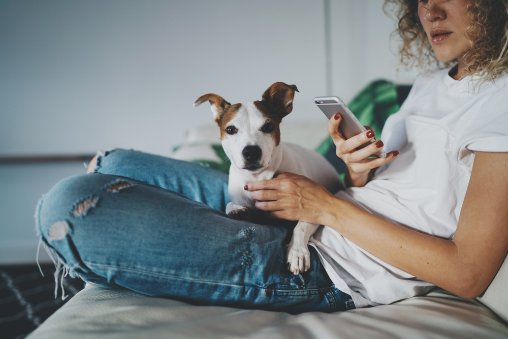 How to Contact a Vet During a Hurricane: 5 Tips for Immediate Support