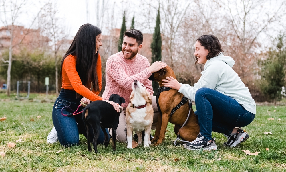 Do Dogs Take on the Personality of Their Owners? Vet-Reviewed Science