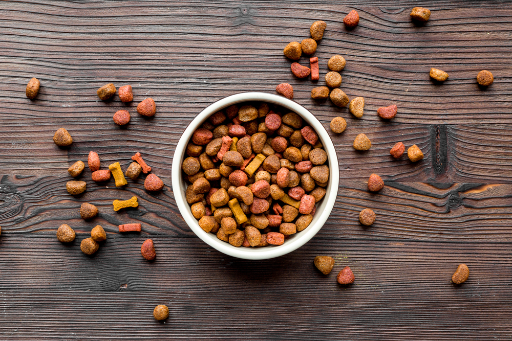 dry dog food in a bowl on wooden table