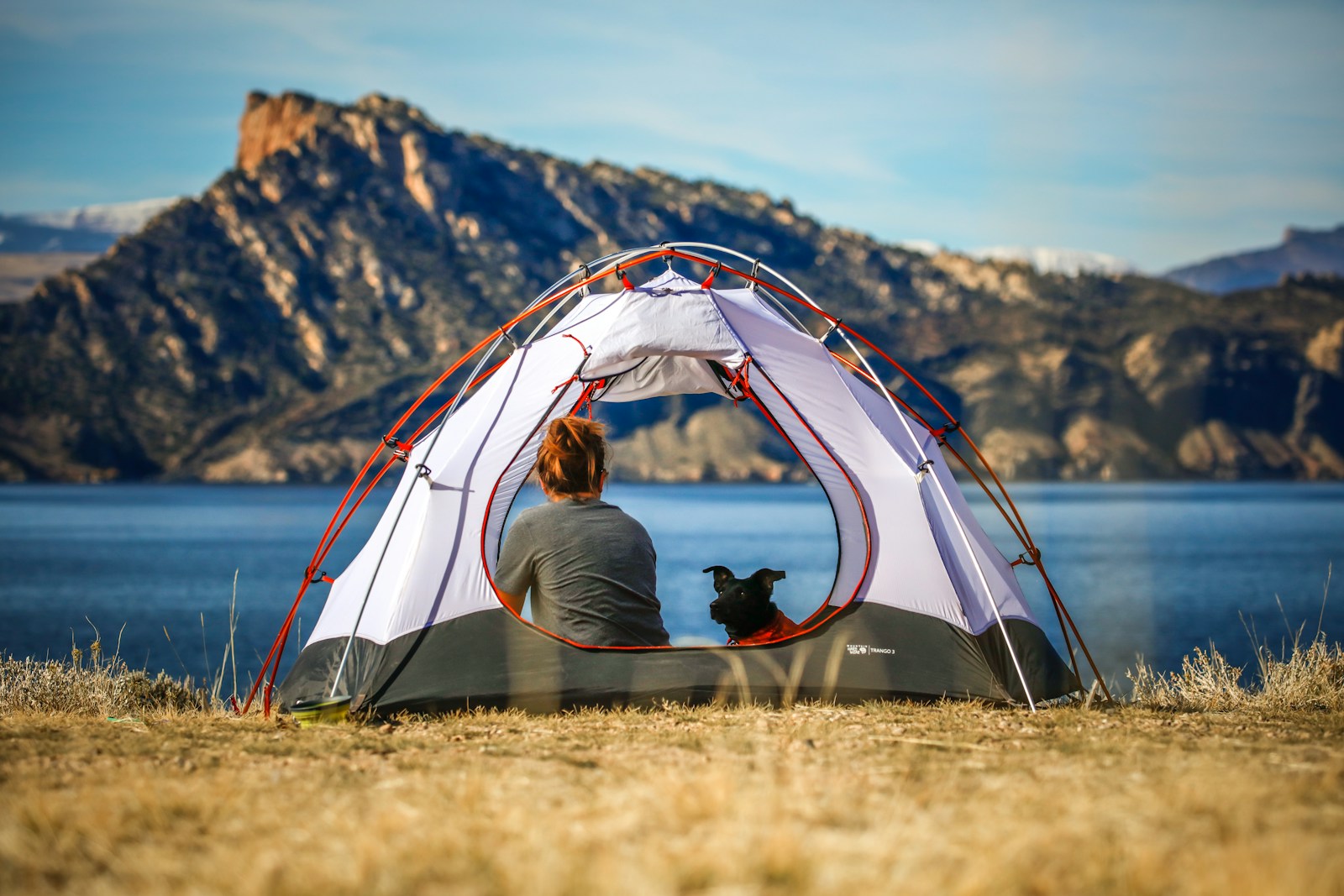 What Is the B.A.R.K. Ranger Program? US National Park Service Facts