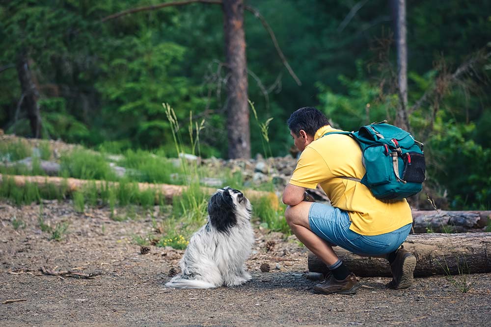 Why Does My Dog Hate Men? 5 Vet-Verified Reasons