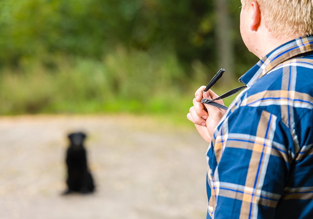 How to Use a Dog Whistle: 8 Vet-Approved Tips for Training & FAQ