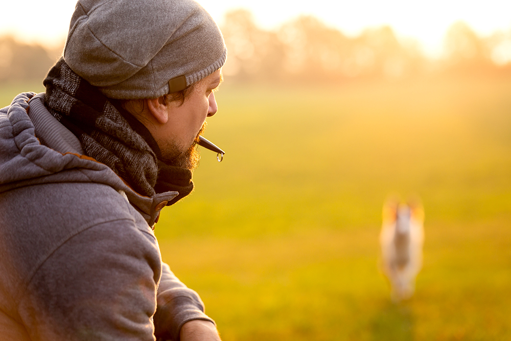 man using dog whistle in the field around his dog