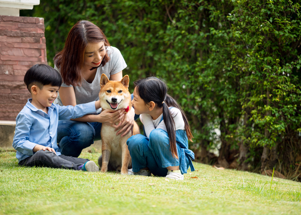 Are Dogs Good for Kids? 7 Vet-Approved Reasons for a Canine Companion