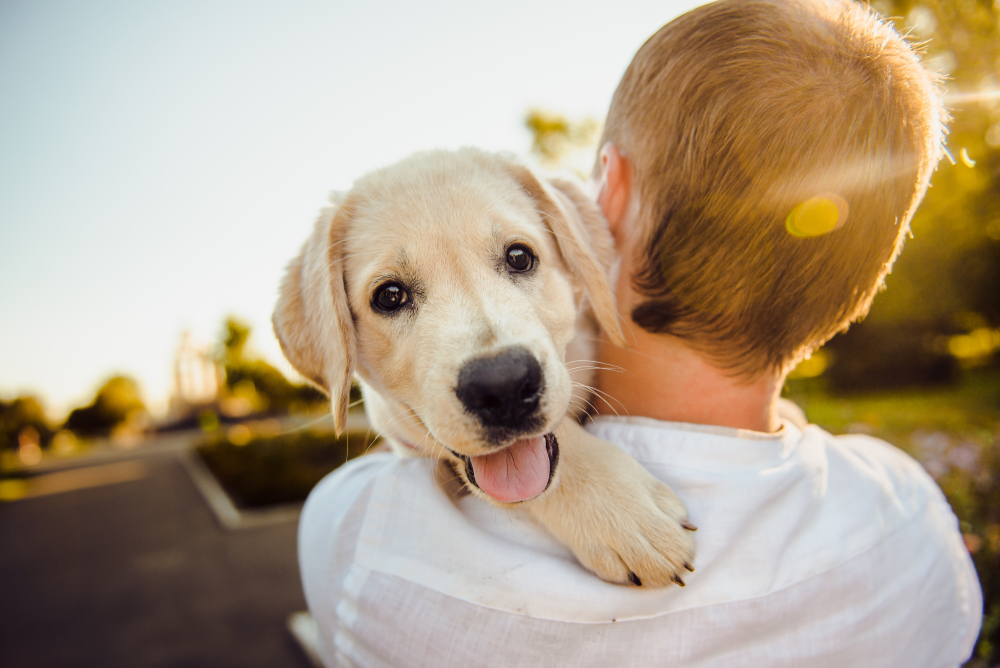 How to Be an Eco-Friendly Dog Parent: 10 Sustainable Suggestions