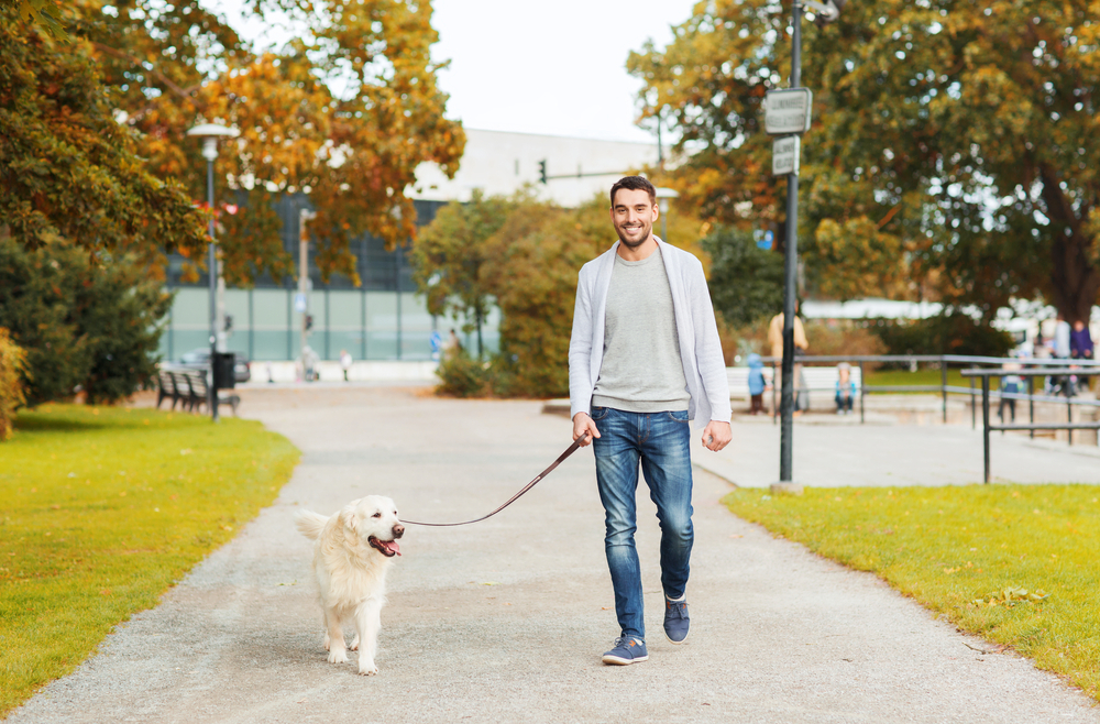 14 Tips for New Dog Owners (2026 Vet-Reviewed Guide)