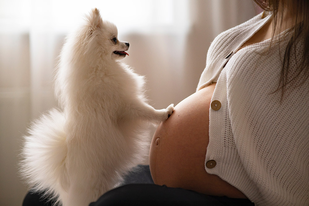 What Is a Dog Doula? Facts & Potential Benefits
