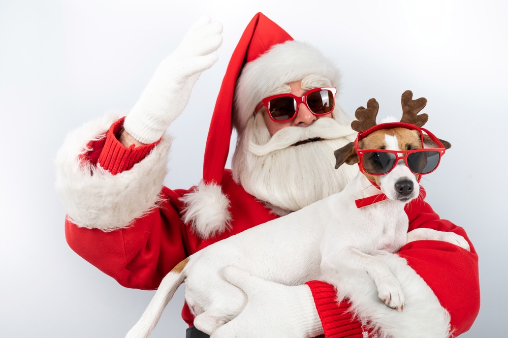 santa claus and dog
