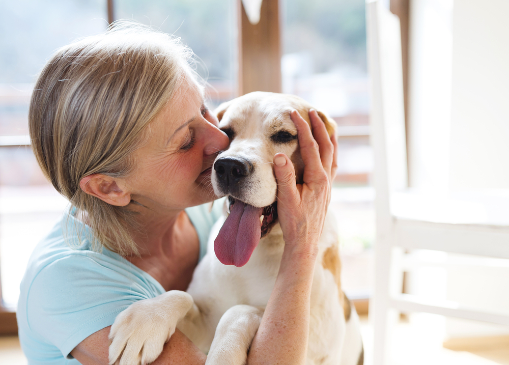10 Statistics & Facts About Shelter Dogs in 2026 (Vet Reviewed)