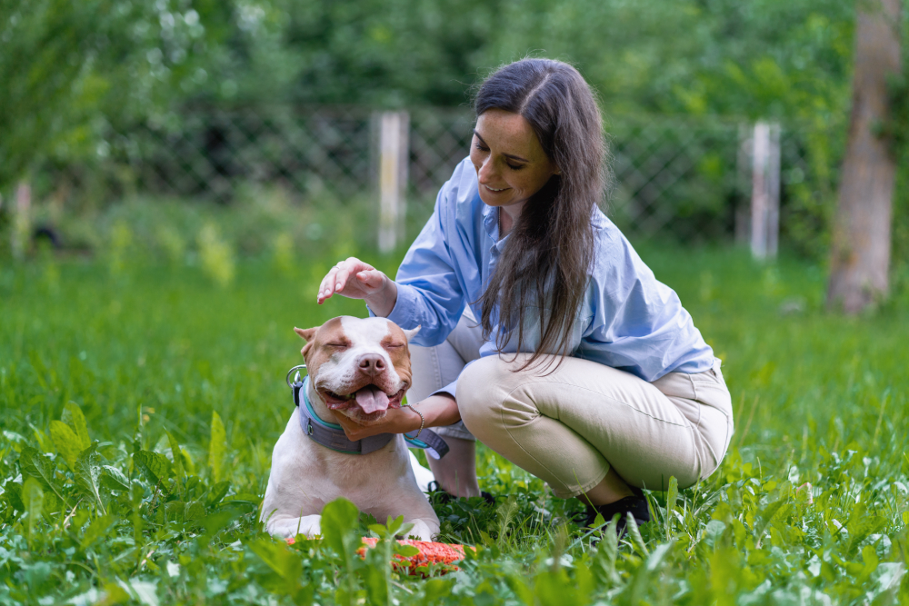 How to Be a Good Dog Mom: 15 Vet-Approved Tips to Be the Best One Ever