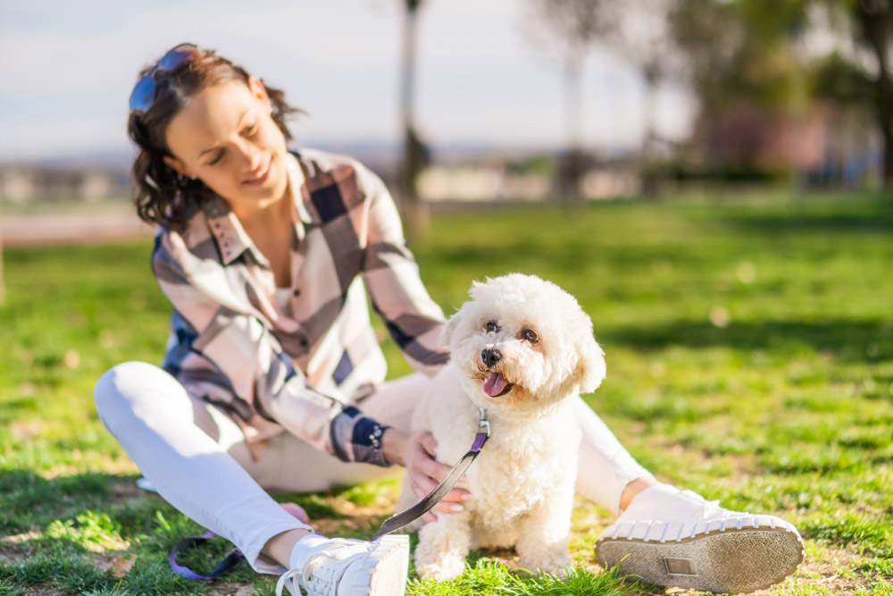 How to Live With Dogs When You Are Allergic: 8 Vet-Approved Tips