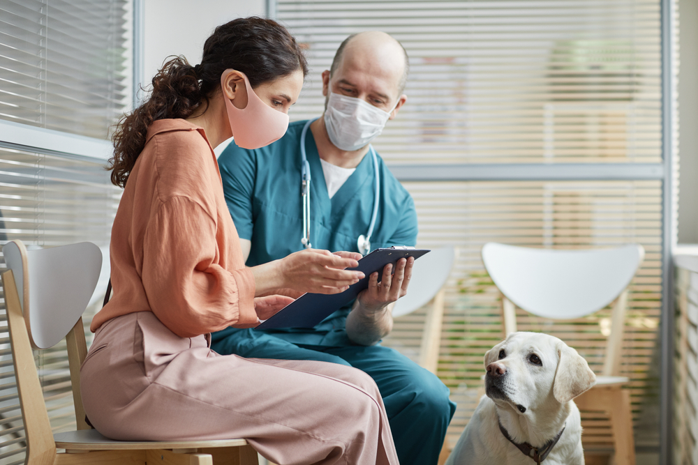 15 Questions to Ask the Vet at Your Next Visit (Approved by Pro)