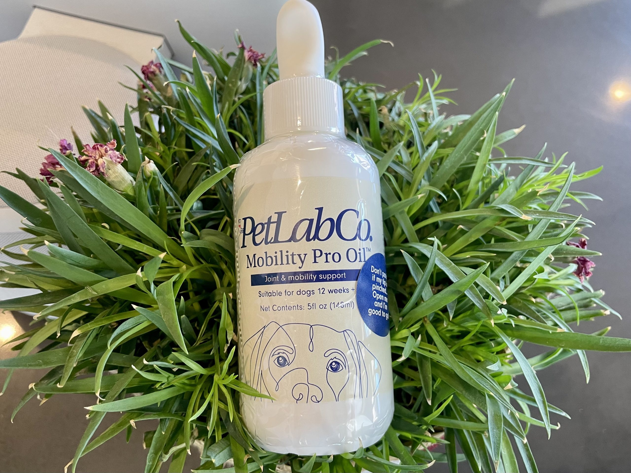 PetLab Co. Mobility Pro Oil