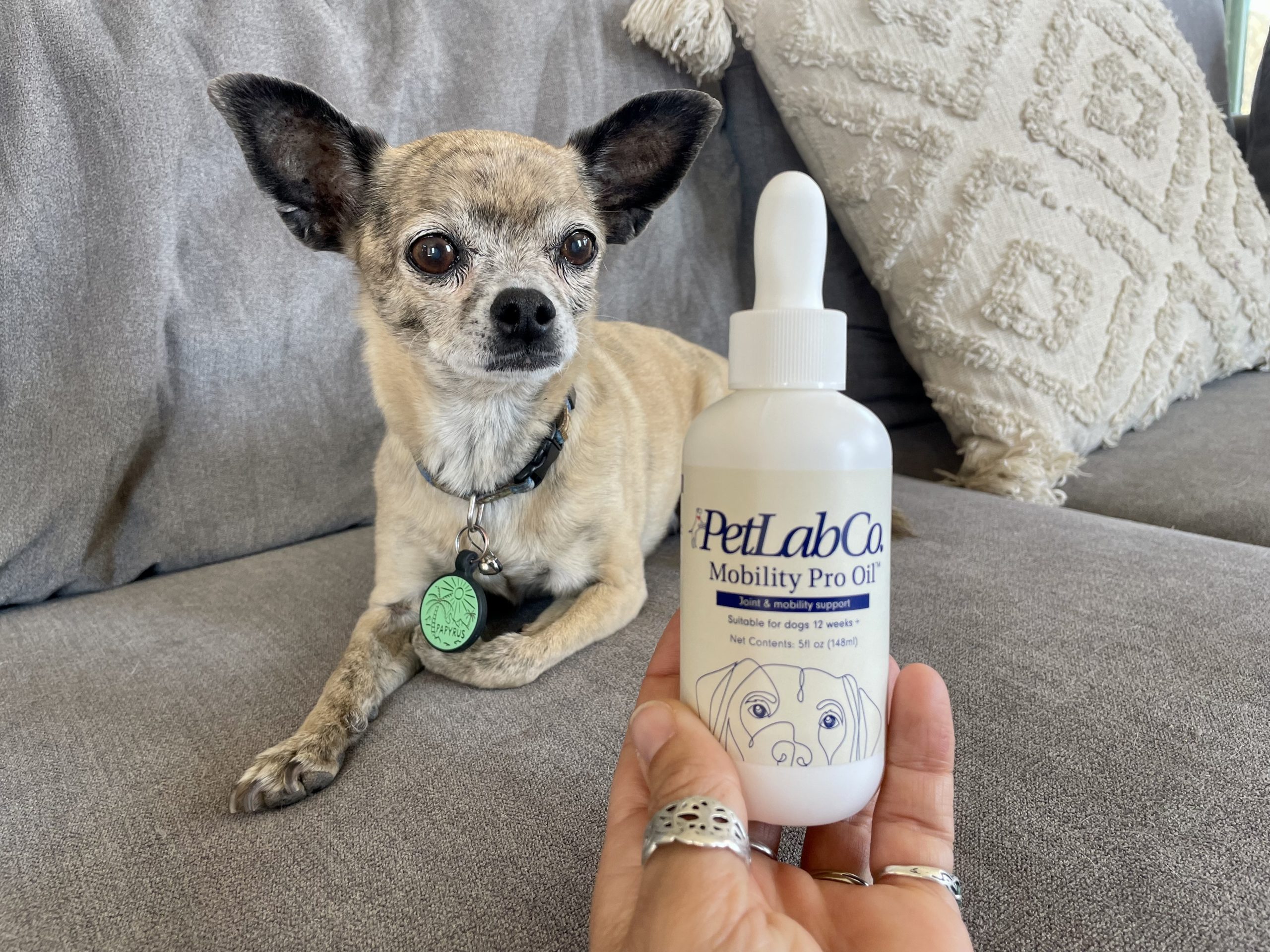 PetLab Co. Mobility Pro Oil