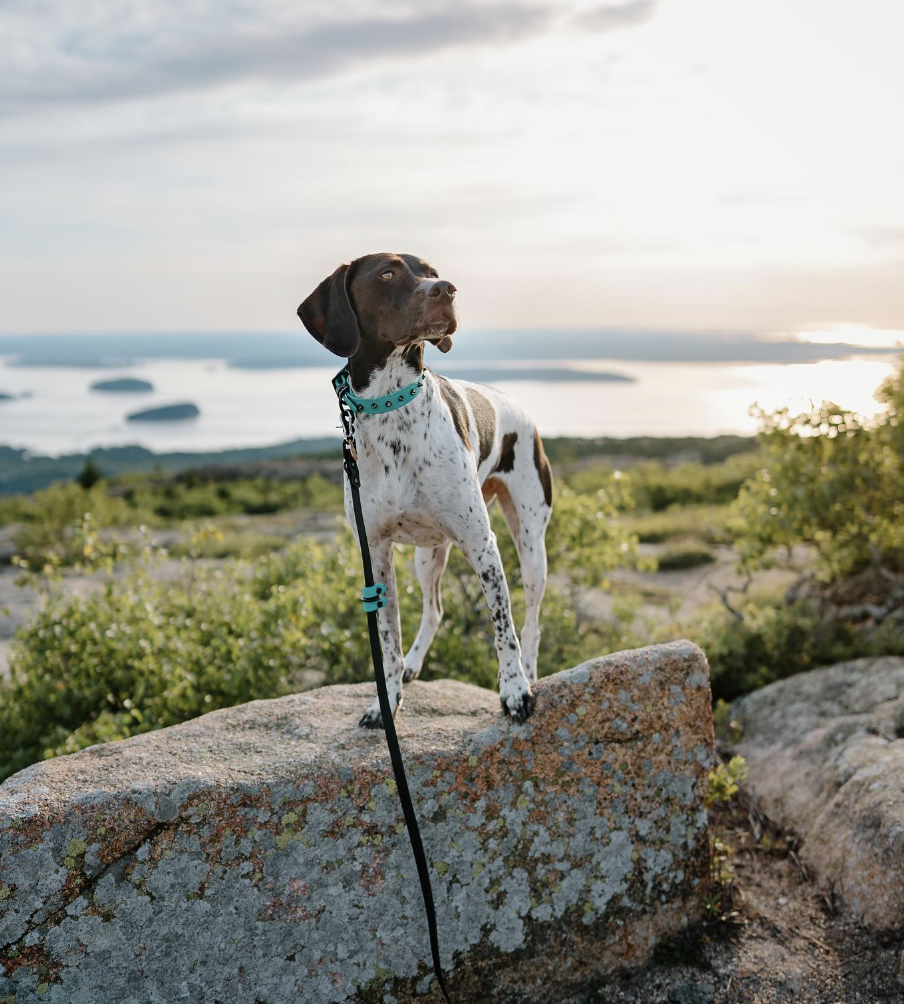 Acadia National Park