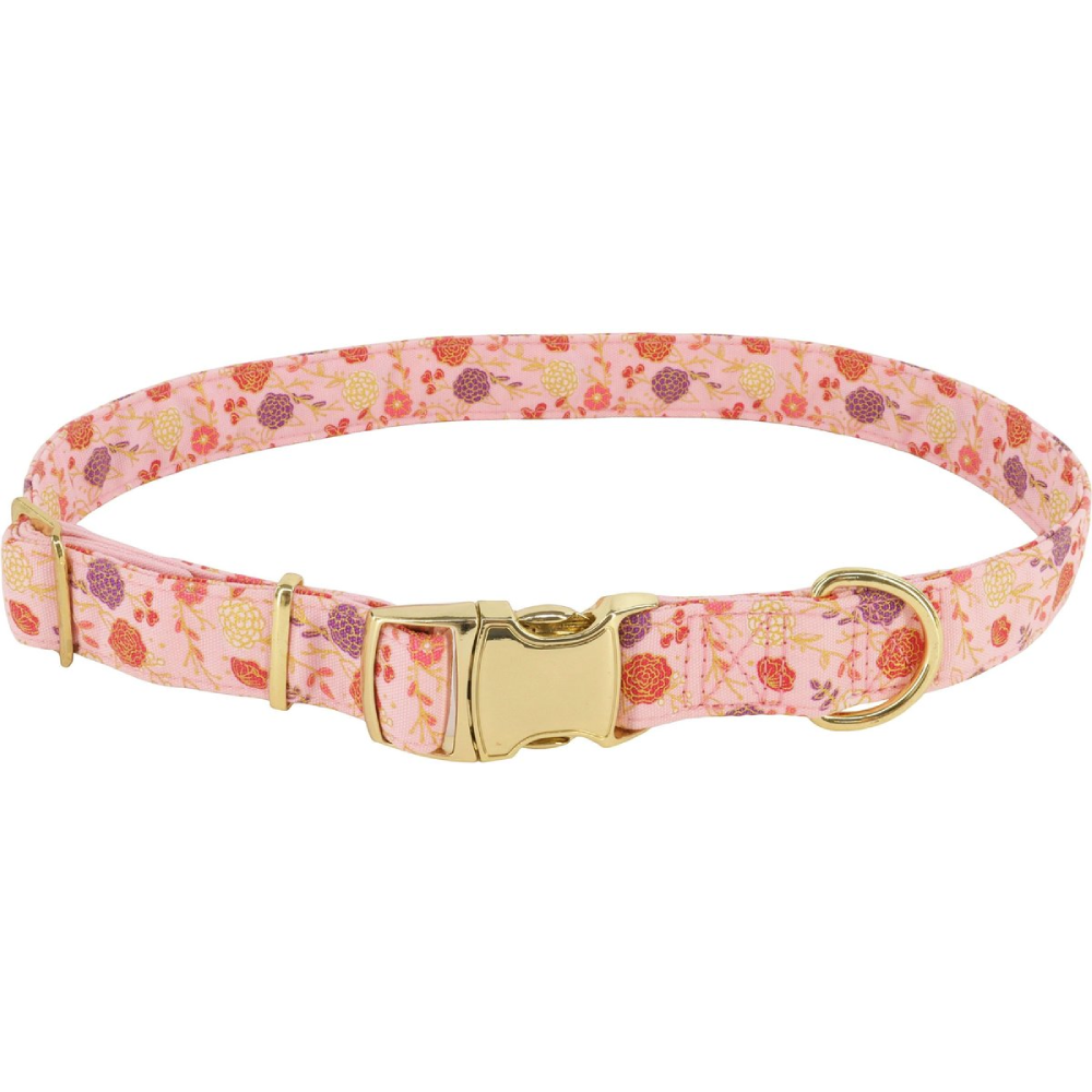 Accent Fashion Metallic Adjustable Dog Collar