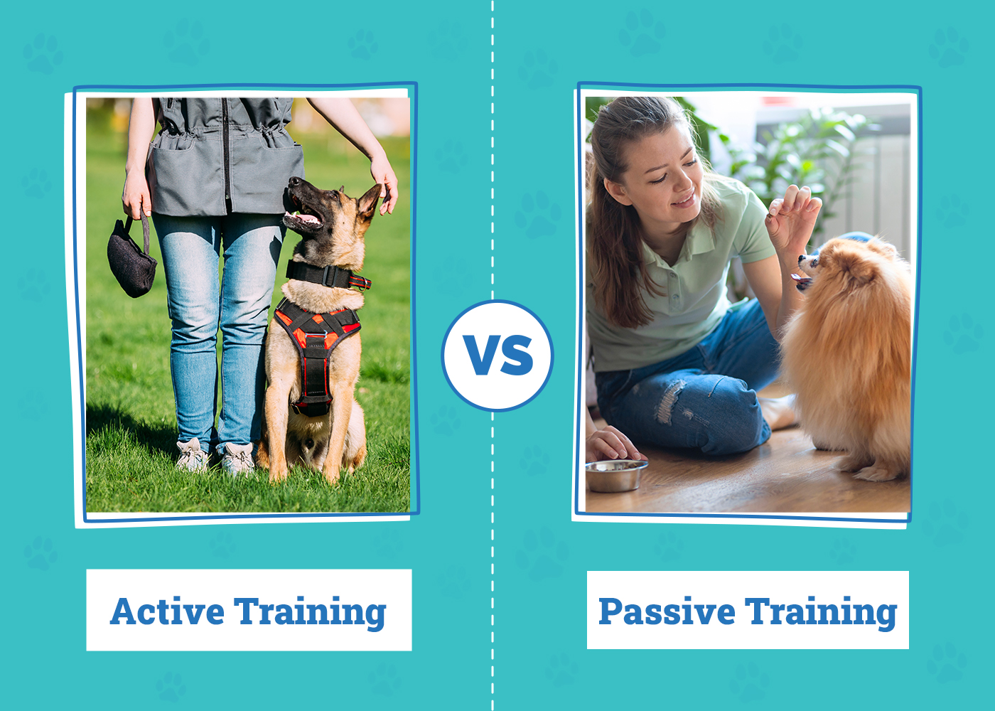 Active vs. Passive Dog Training: Vet-Approved Guide for Your Pup