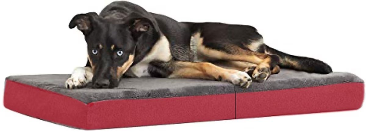 Coleman Carry Handle Folding Dog Bed