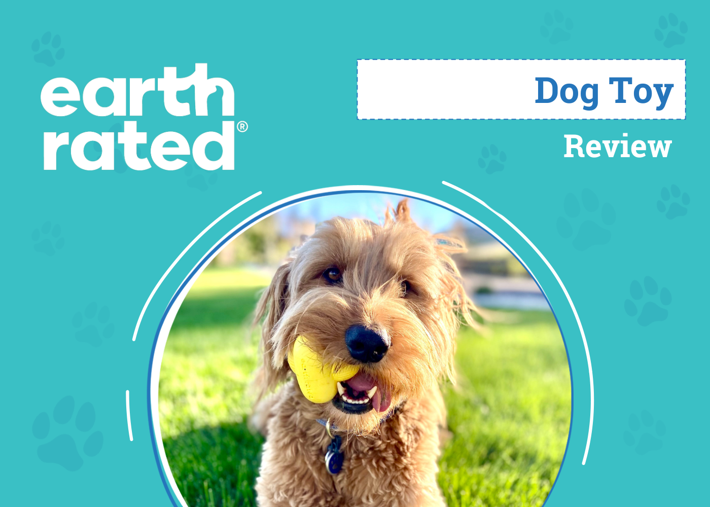 Earth Rated Fetch Toy Review 2026: An Expert’s Breakdown