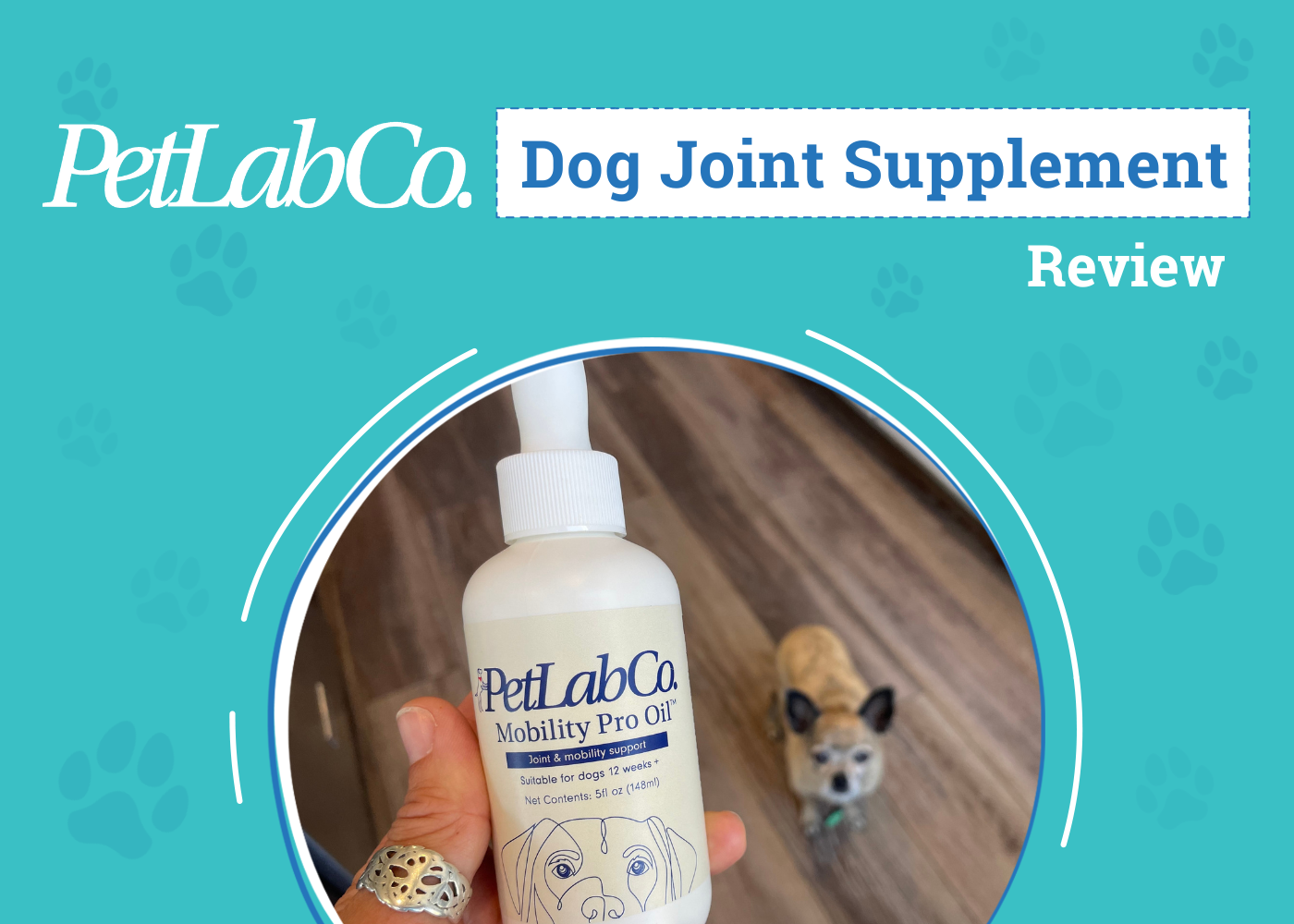 PetLab Co. Mobility Pro Oil Review 2026: An Expert’s Breakdown
