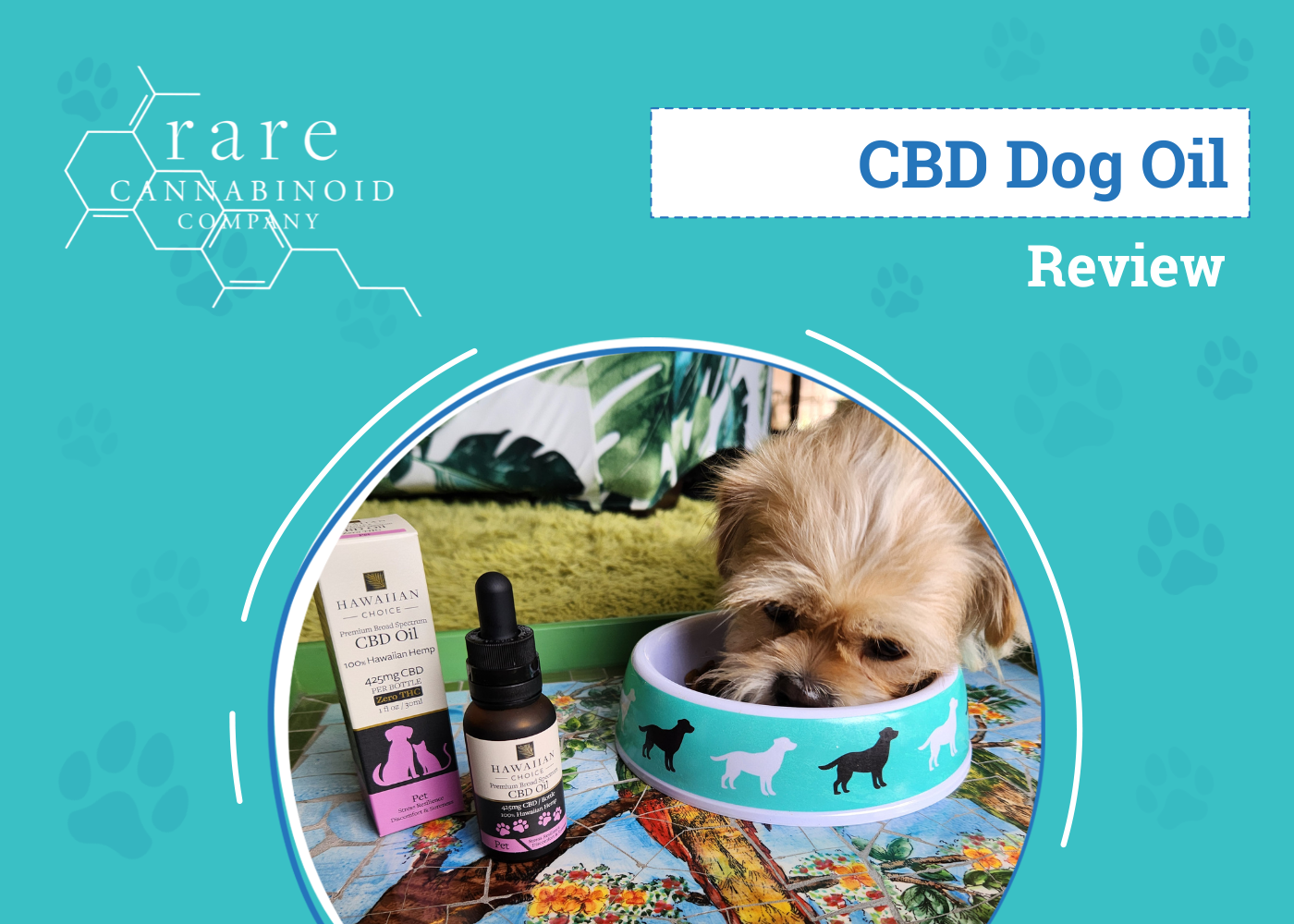 Rare Cannabinoid Company Hawaiian Choice Pet CBD Review 2026: An Expert's Breakdown