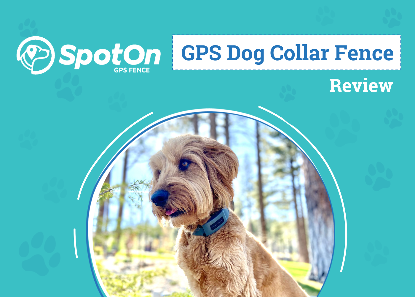 SpotOn Fence Review 2026: An Expert’s Breakdown