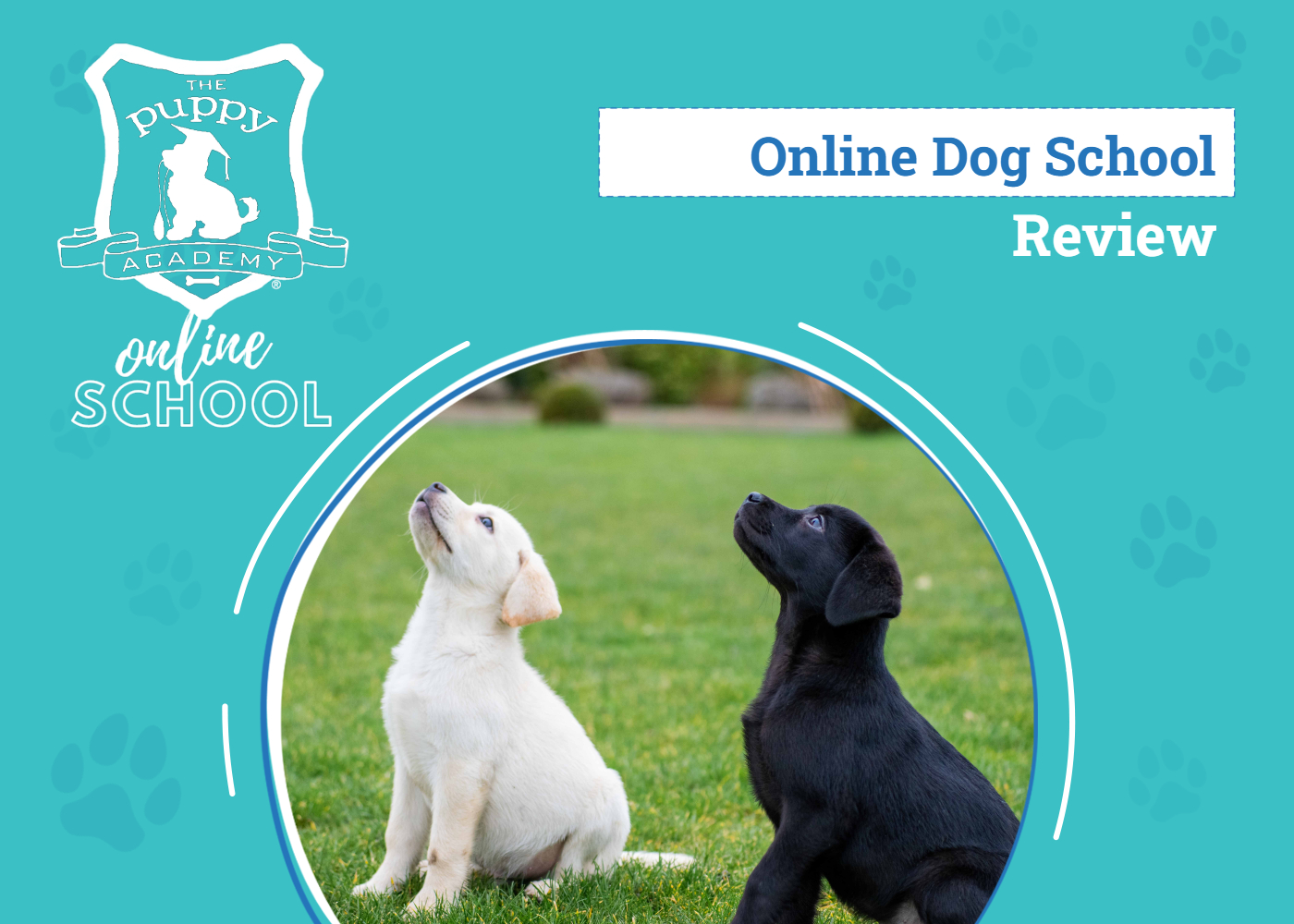 The Puppy Academy Online School Review 2026: An Expert’s Breakdown