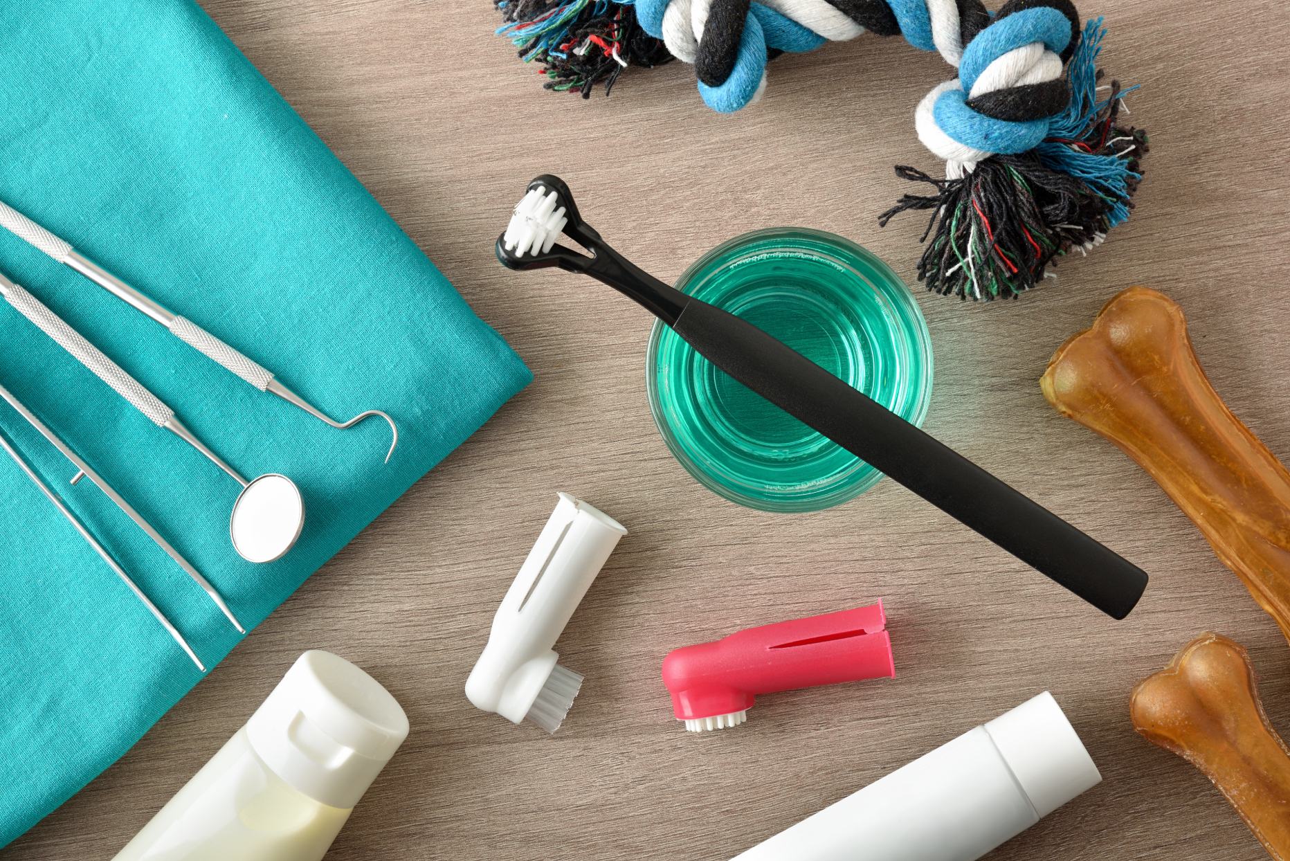 Dog Teeth Cleaning Supplies