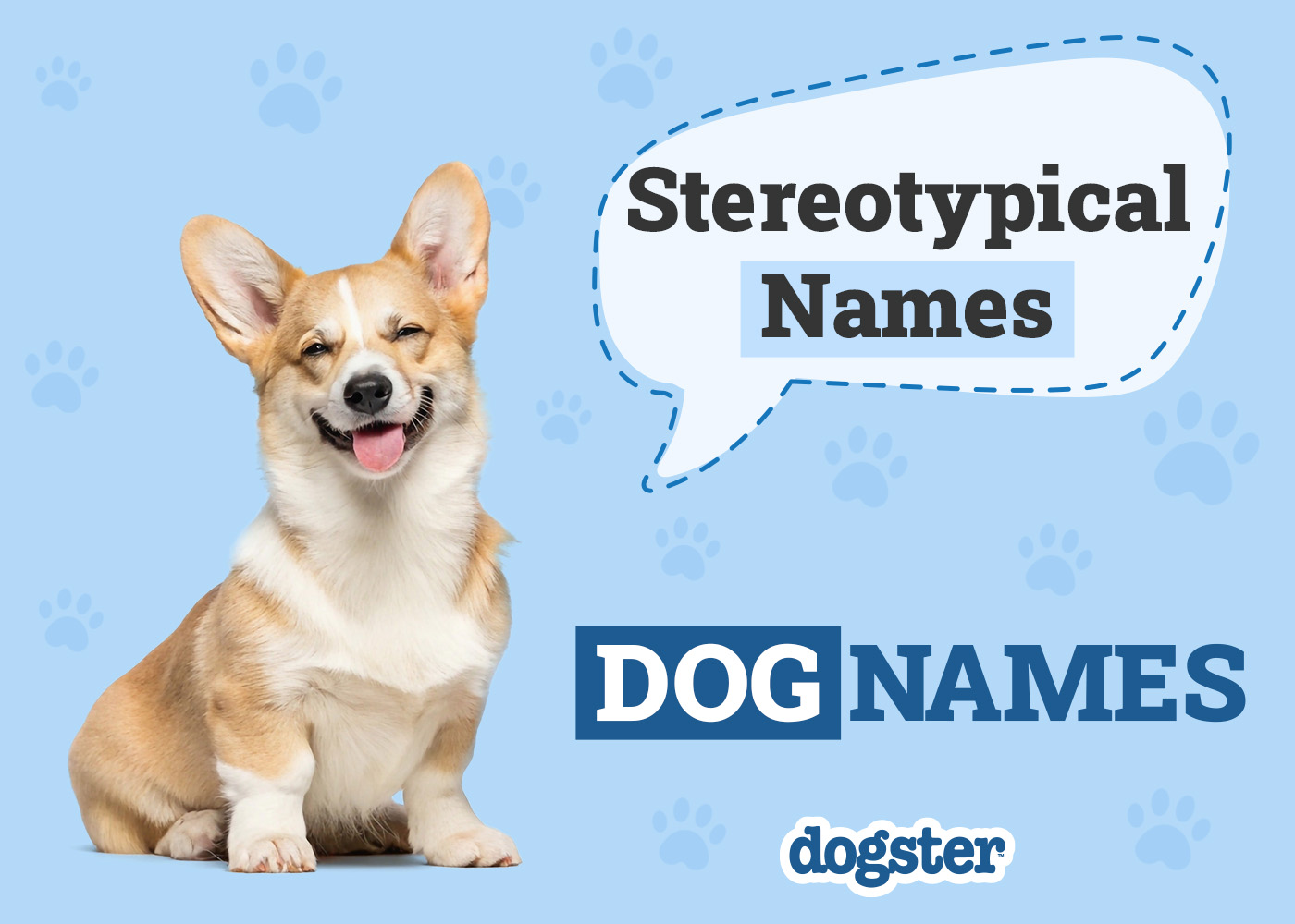 230 Stereotypical Dog Names: Most Classic & Common Options