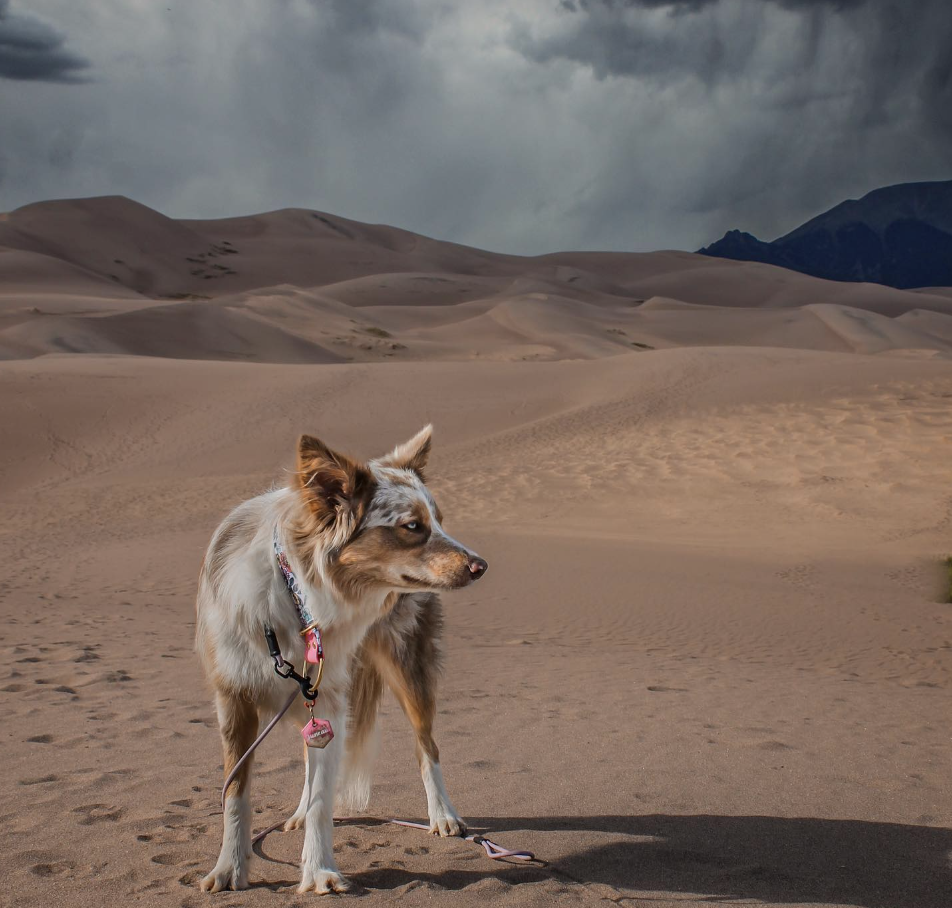 Great Sand Dunes National Park