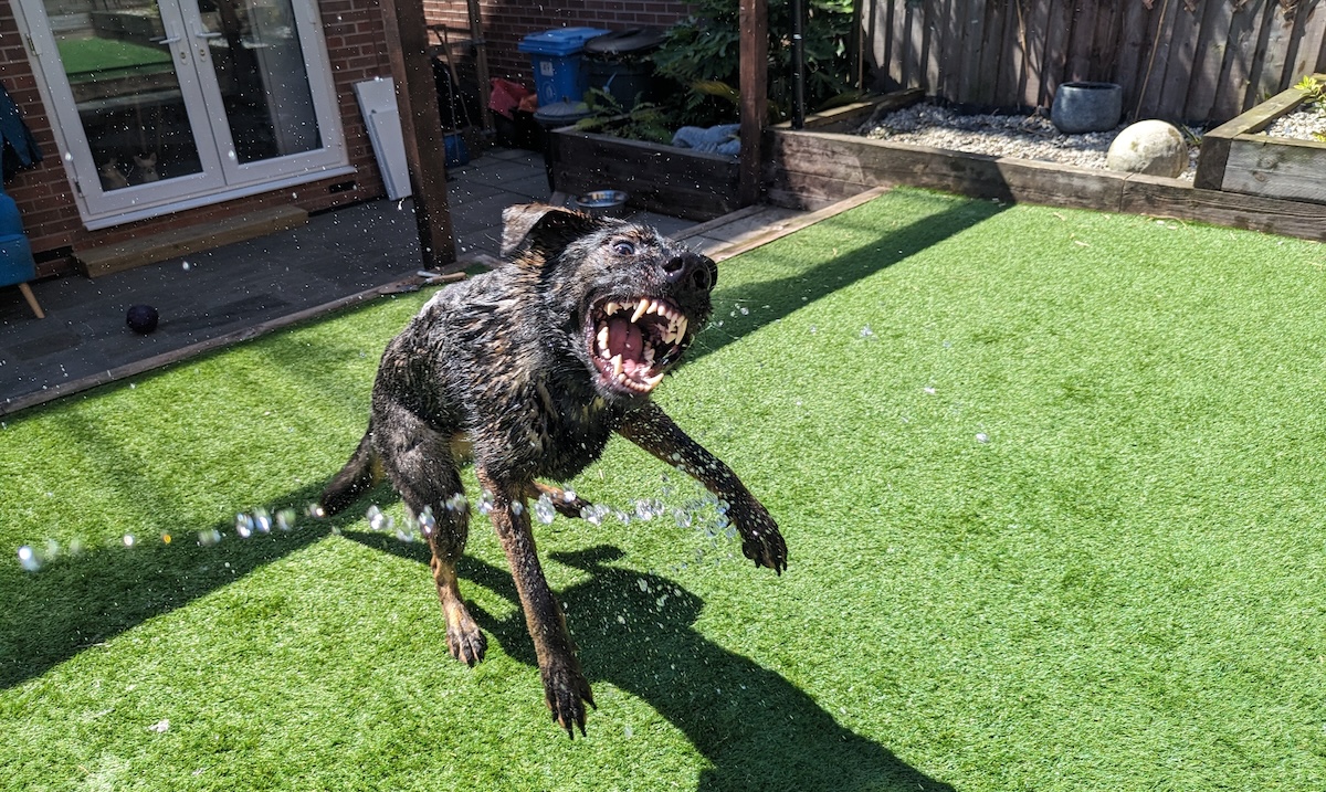 Kodah, Addicted to the Hose (With Video)