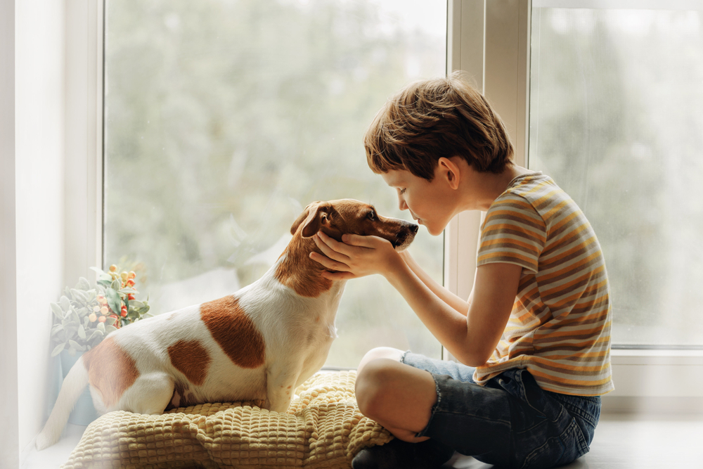 Little boy kisses the dog in nose on the window