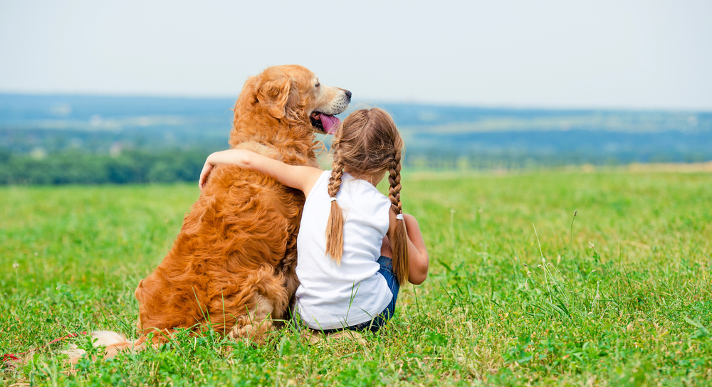 Little girl hugging retriever in the field