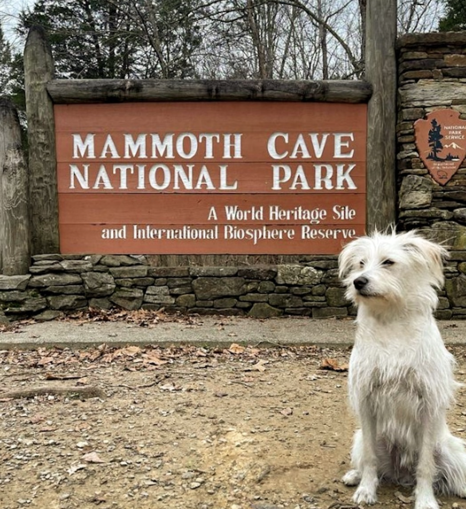 Mammoth Cave National Park