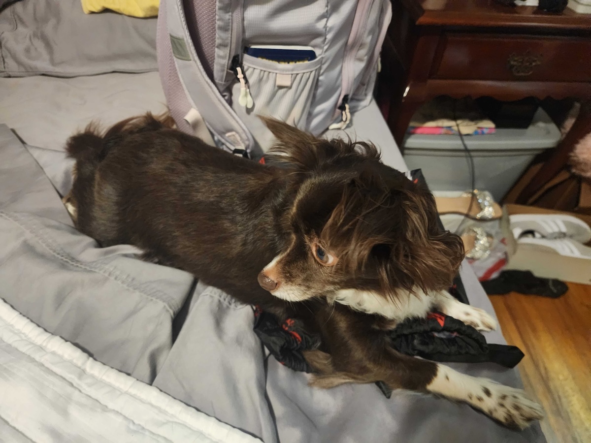 Traveling Without Penny: Why We Sometimes Don’t Take Her With Us
