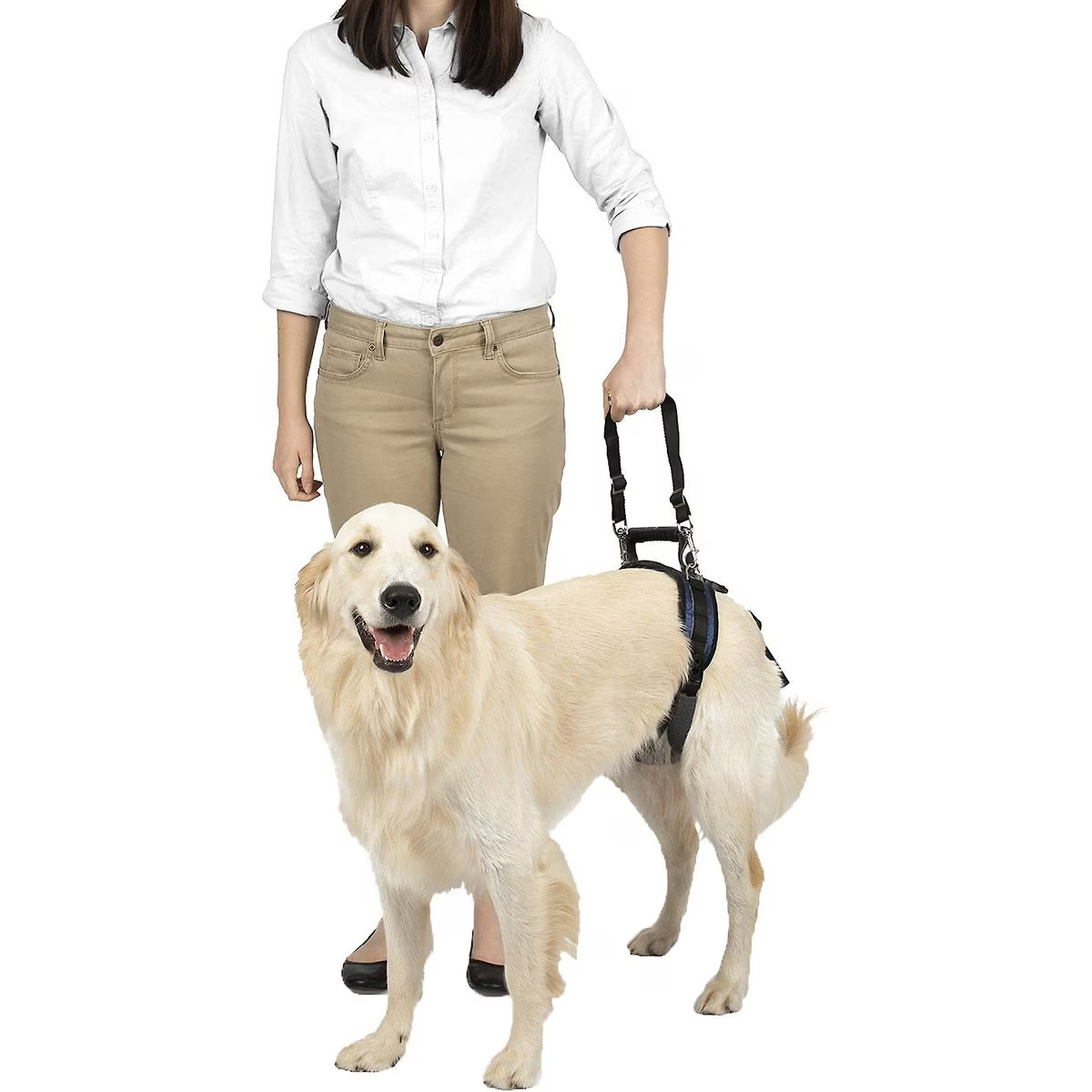 PetSafe CareLift Rear Handicapped Support Dog Harness