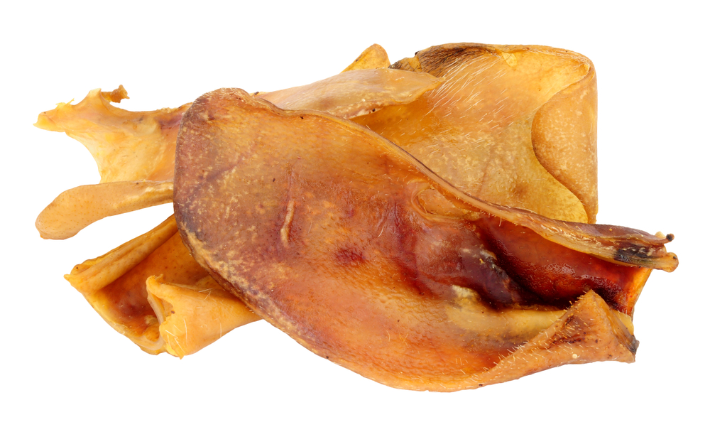 Are Pig Ears Good for Dogs? Vet-Verified Facts & Guide
