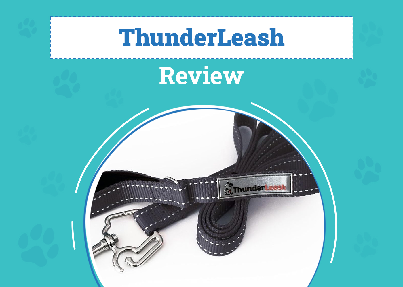 ThunderLeash Review (2026): Pros, Cons & Final Verdict