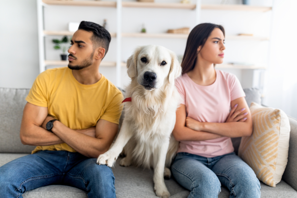 Upset man and woman and a dog sitting on a couch between them