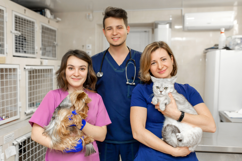 Crowdfunding for Vet Bills: 12 Tips How to Do It