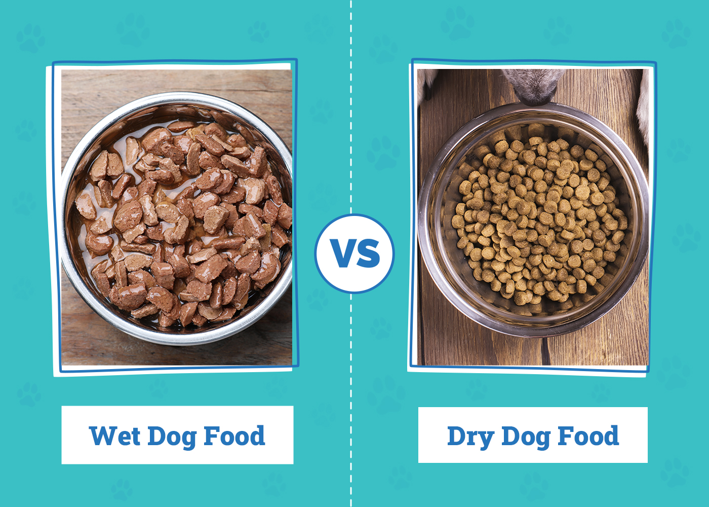 Is Wet or Dry Dog Food Better? Vet-Approved In-Depth Comparison
