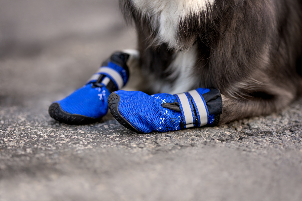 Dog Boots: Vet-Verified Pros & Cons