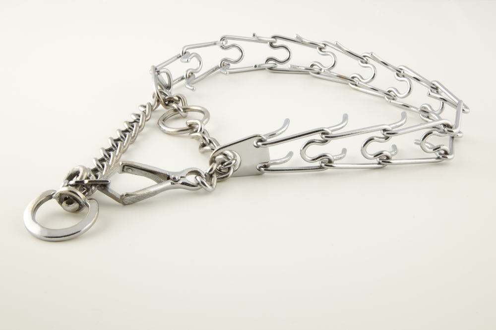 Are Prong Collars Humane? Vet-Verified Safety Facts