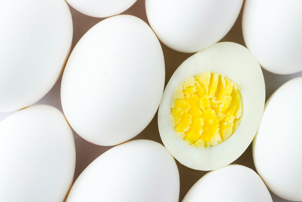 How to Cook Eggs for Dogs: 3 Vet-Approved Recipes & Facts