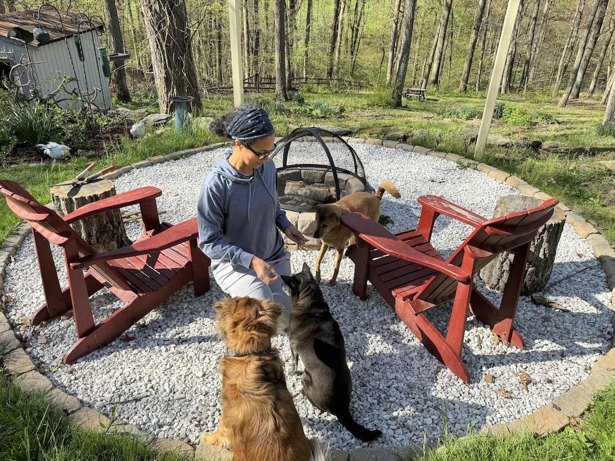 Mimicking Behaviors Among the Trio: Allison's Dogs Learn From Each Other