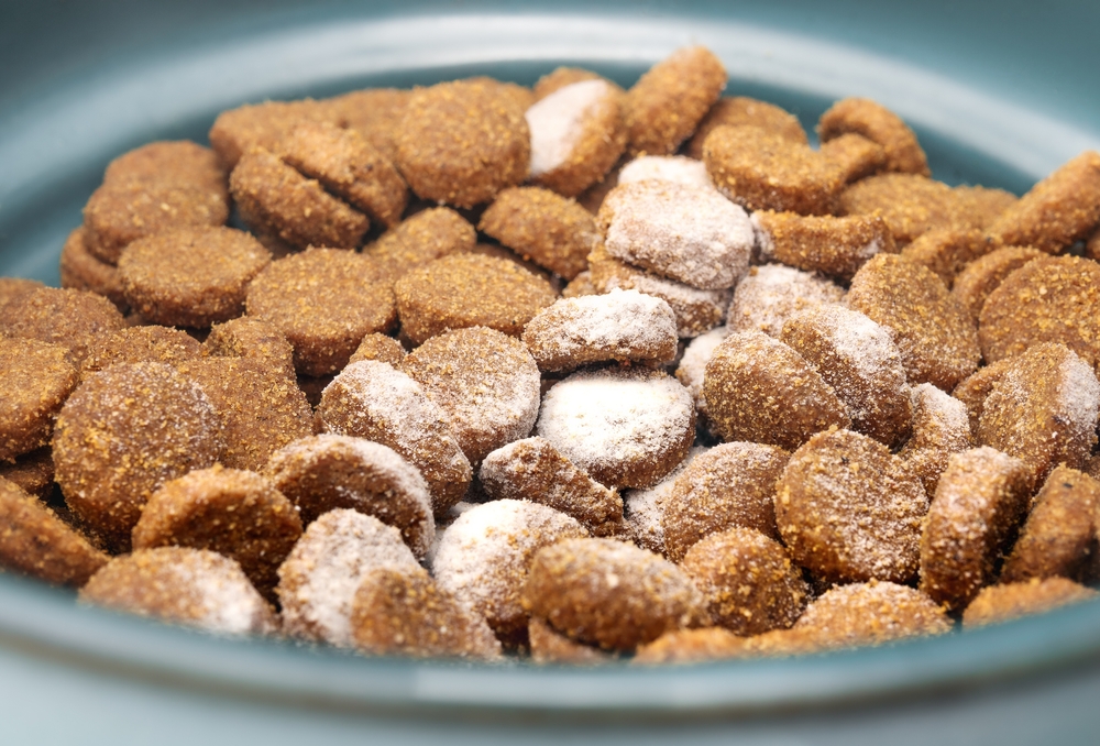 Tylosin for Dogs: Uses, Side Effects & FAQ (Vet Answer)