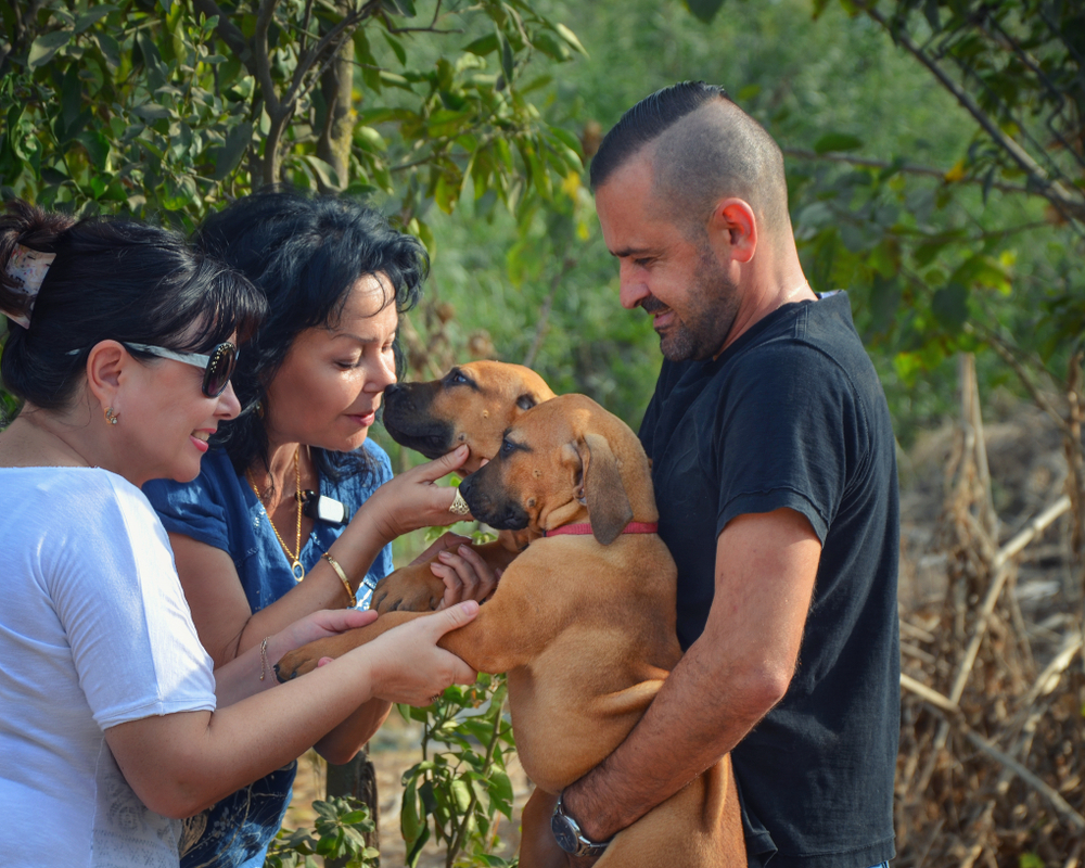 two women checking puppies with the breeder